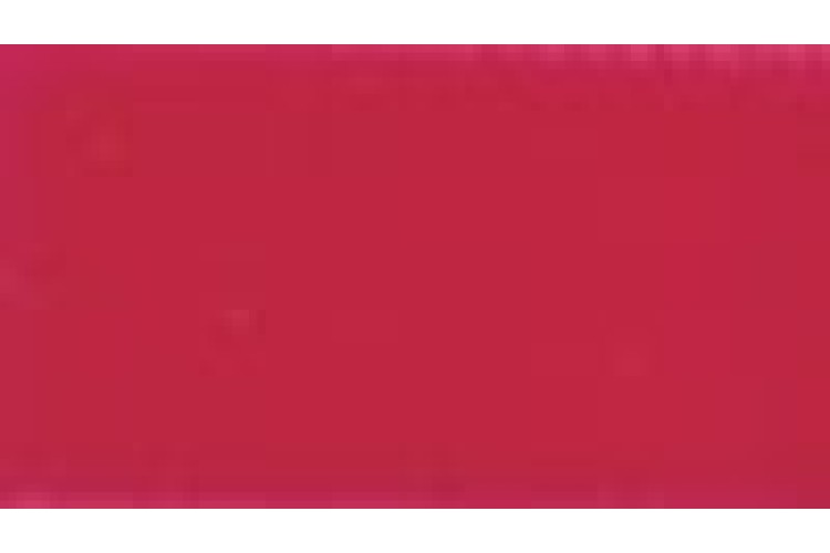 Ribbon Red Velvet 22mm (1025-9629)