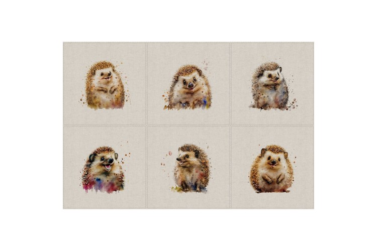 Happy Hedgehog 6 x Assorted Panels