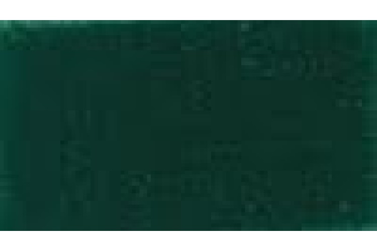 Ribbon Green Velvet 22mm (1025-9621)